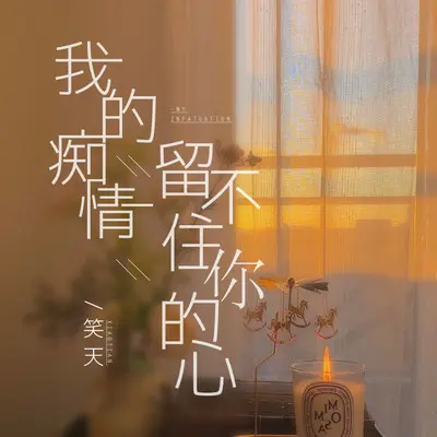 我的痴情留不住你的心 - 笑天封面