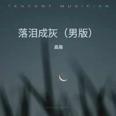 落泪成灰（男版） - 鑫瀚封面