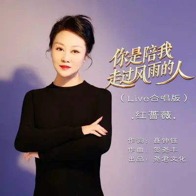 你是陪我走过风雨的人（伴奏） - 红蔷薇封面