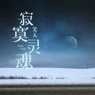 寂寞灵魂封面