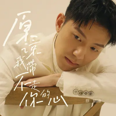 原谅我带不走你的心封面