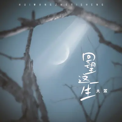 回望这一生 - 大笨封面