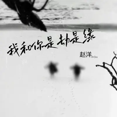 我和你是劫是缘（伴奏）封面