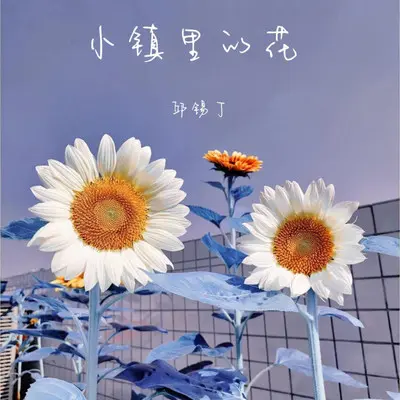 小镇里的花封面