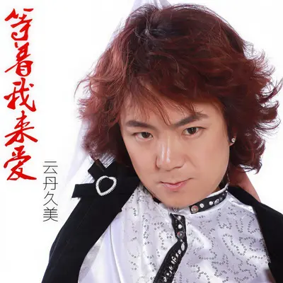 等着我来爱 (DJ何鹏)封面