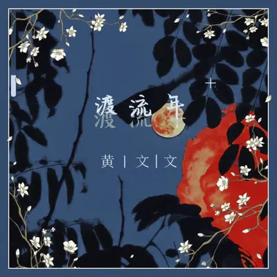 渡流年（DJ默涵版）封面