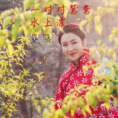 一对对鸳鸯水上漂 - 闫辽艳封面