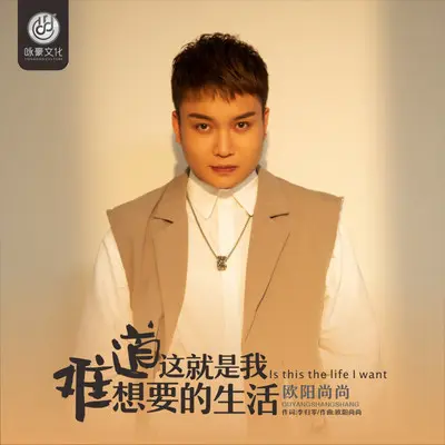 难道这就是我想要的生活(DJ永强）（Remix）封面