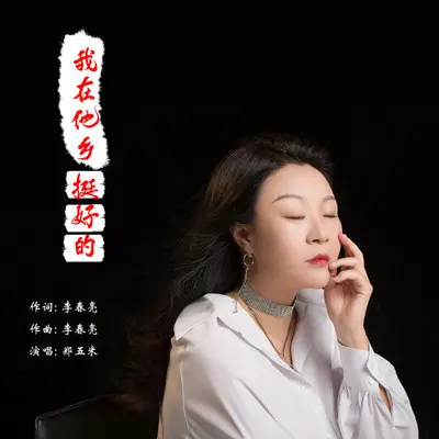 我在他乡挺好的（郑五米）封面