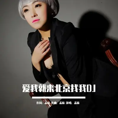 爱我就来北京找我（DJ版）封面