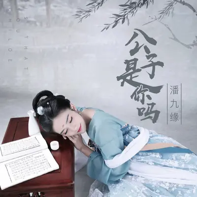 公子是你吗（伴奏）封面