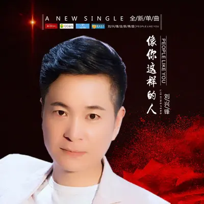 像你这样的人（伴奏）封面