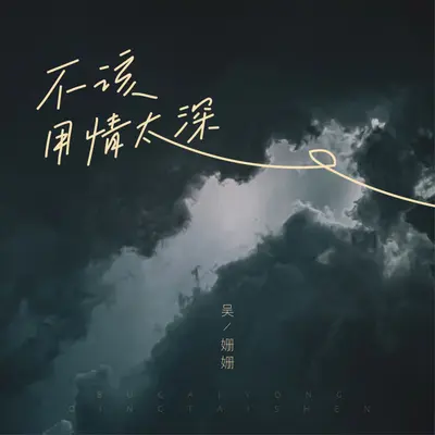 不该用情太深（DJ小鑫版） - 吴姗姗封面