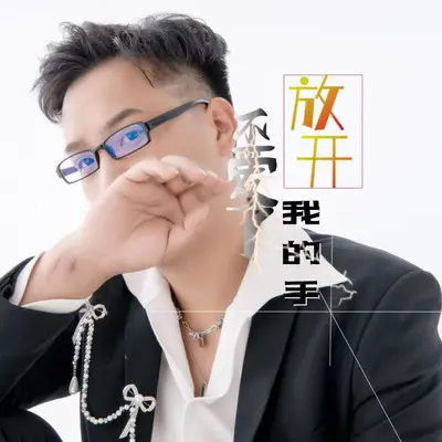 不爱了放开我的手封面