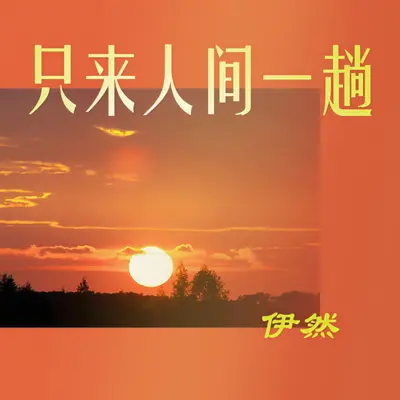 只来人间一趟（DJ彭锐版）封面