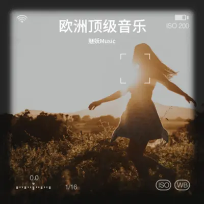 欧洲极品纯音乐重低音Disco舞曲2封面