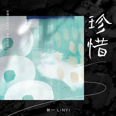 珍惜封面