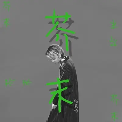 芥末 (伴奏) - 赵晨唏封面