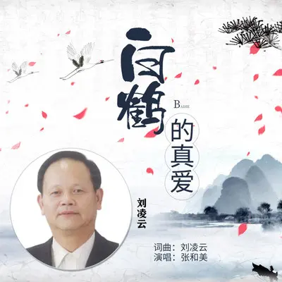 白鹤的真爱（DJ版）封面