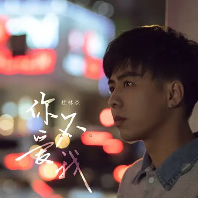 你不爱我（伴奏）封面