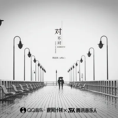 对不对（伴奏）封面