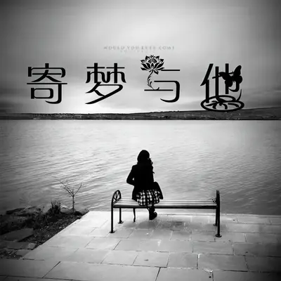 寄梦与她(DJ尼保版)（伴奏）封面