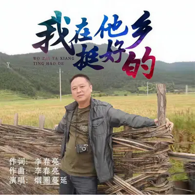 我在他乡挺好的封面