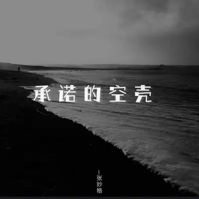 承诺的空壳封面