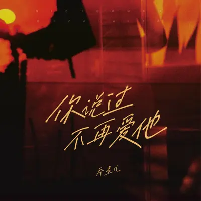 你说过不再爱他（DJ小鑫版）封面
