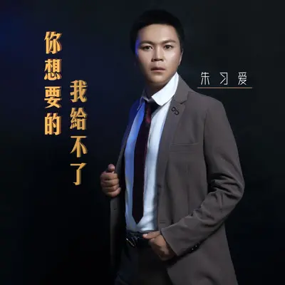 你想要的我给不了（演唱会版）封面