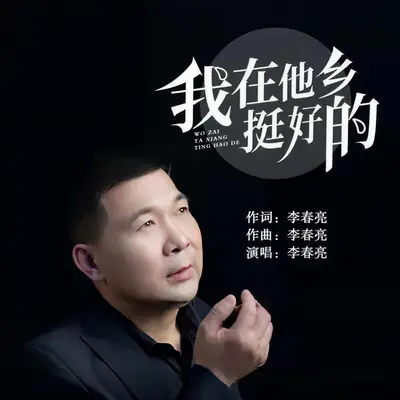 我在他乡挺好的封面