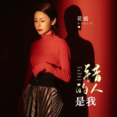错的人是我（伴奏）封面