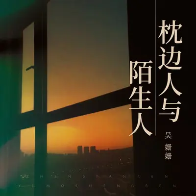 枕边人与陌生人（DJ小鑫版）封面