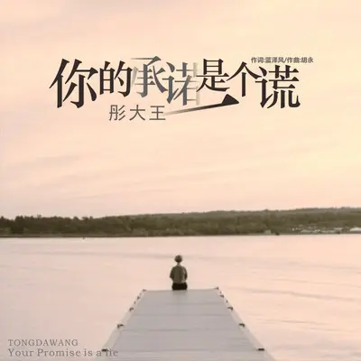 你的承诺是一个谎（伴奏）封面