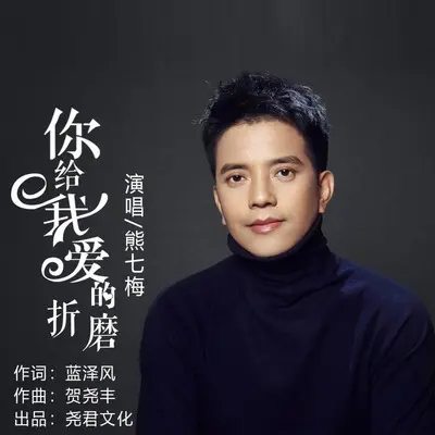 你给我爱的折磨封面