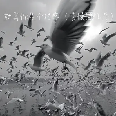 就算你是个过客（满满回忆杀）封面