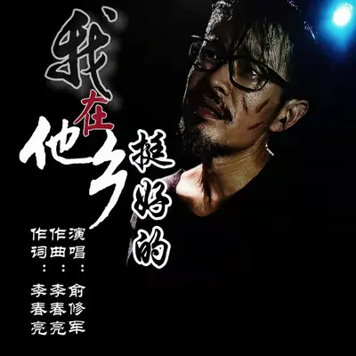 我在他乡挺好的封面