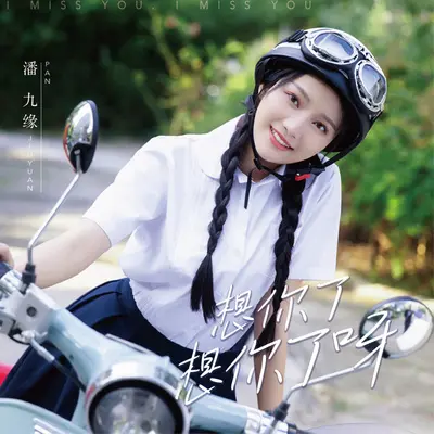 想你了想你了呀封面