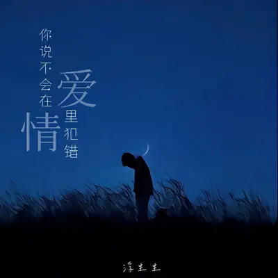 你说不会在爱情里犯错封面