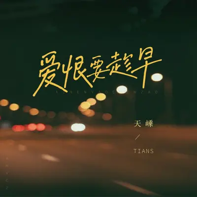 爱恨要趁早（DJ小鑫版）封面
