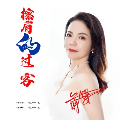 擦肩的过客封面