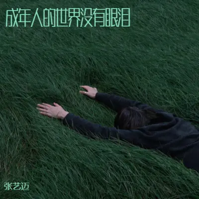 成年人的世界没有眼泪(DjGsus4版)封面
