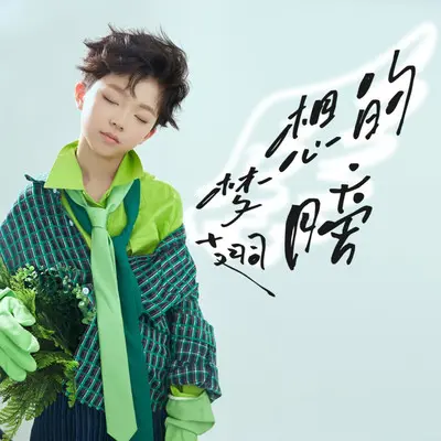 梦想的翅膀（伴奏） - 留声 / 林文瑾封面