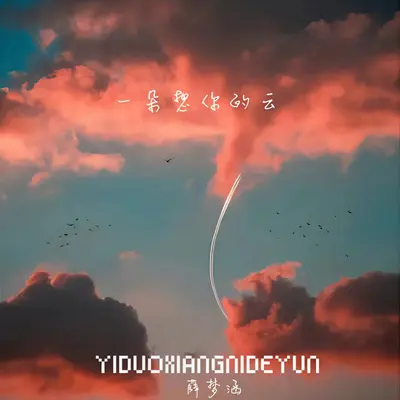 一朵想你的云（伴奏）封面