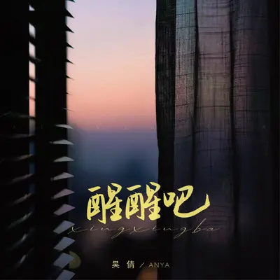 醒醒吧封面