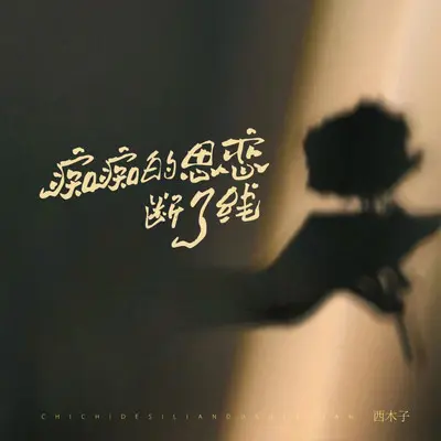 痴痴的思念断了线（伴奏）封面