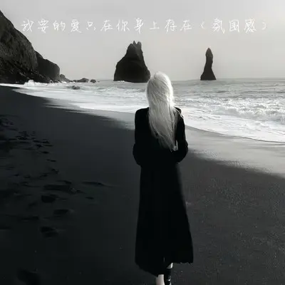 我要的爱只在你身上存在（氛围感）封面