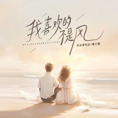 我喜欢的不是风封面