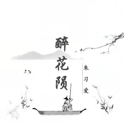 醉花陨（电影《星星月亮》插曲）封面