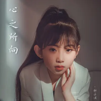 心之所向封面